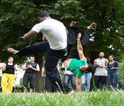 training_parc